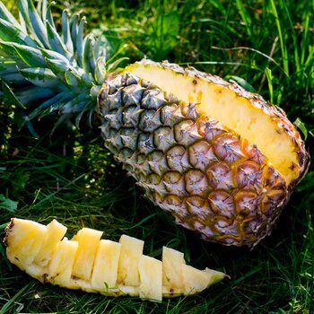 Bio-Ananas Cayenne
